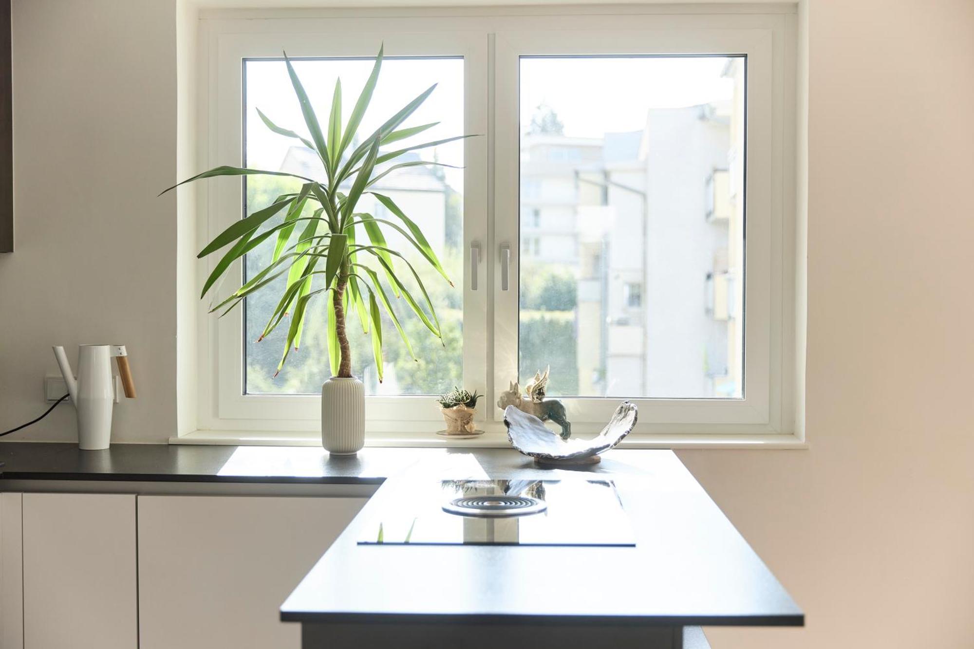 Helle Wohnung In Top Lage! Linz Exterior photo